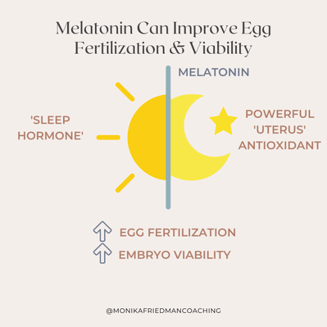 Can Melatonin Improve Fertility?